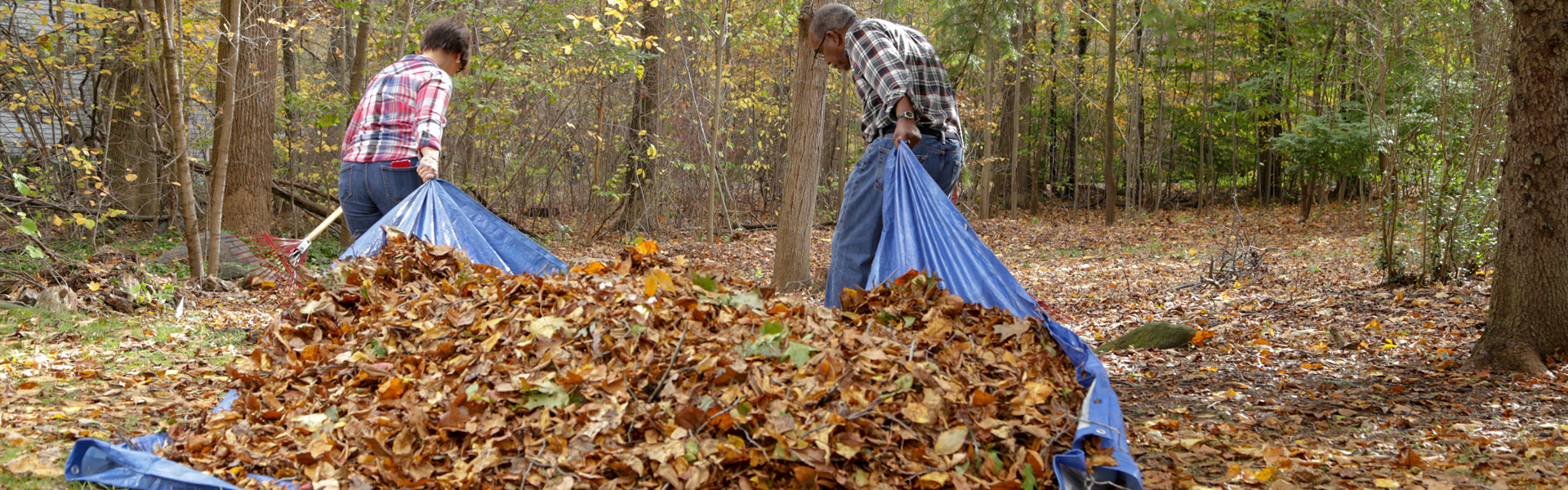 2-Whats-a-Leaf-Vac-header