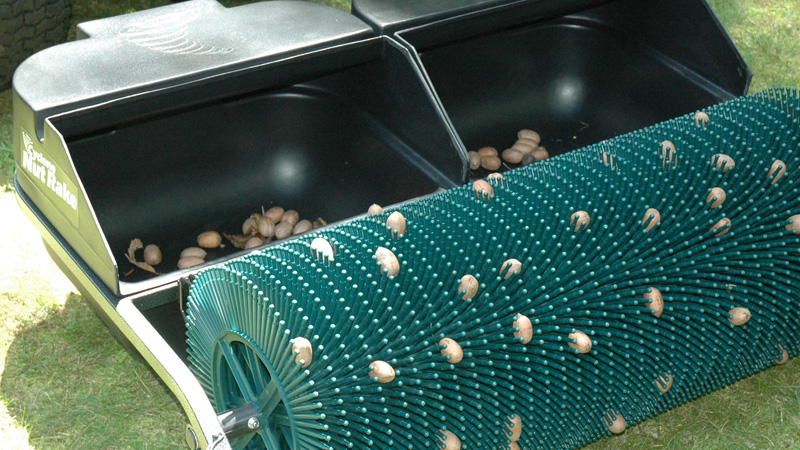 800x450-Pecans