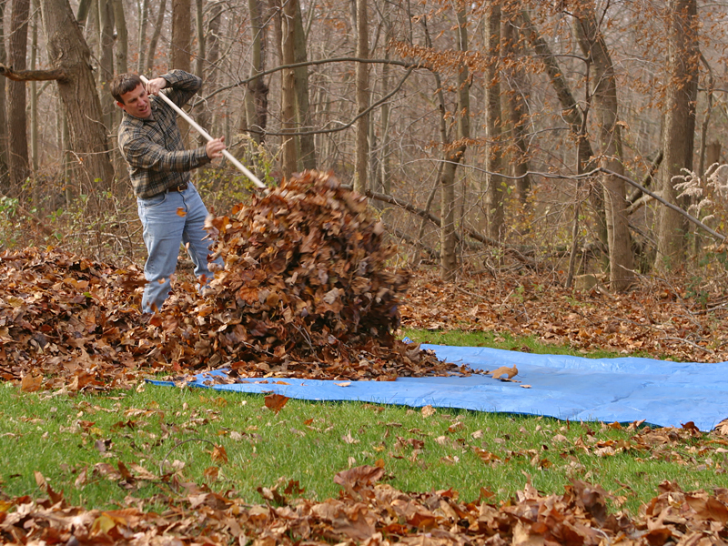 Stop messing around with rakes and tarps. We have a the best leaf vacuums for sale.