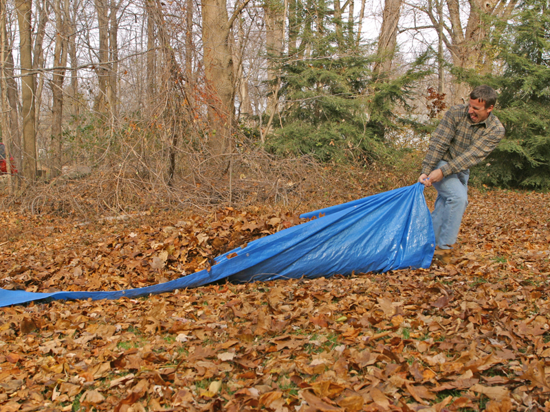 End the backbreaking job of dragging tarps. We have the best leaf vacuums for sale to match any property size.