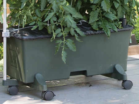 Green Earthbox