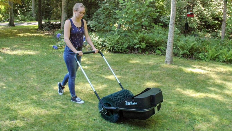 Picture of Cyclone Nut Rake - Walk Behind