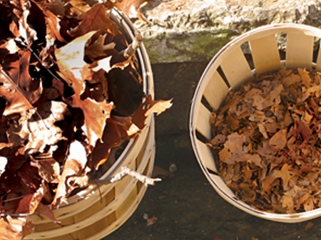 Picture for category Mulch & Compost