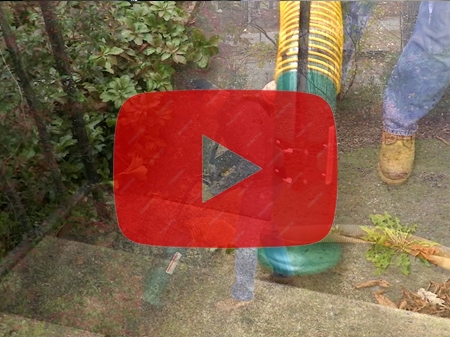 Picture for category Product & Testimonial Videos