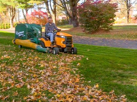 Picture for category The Best Way to Remove Leaves