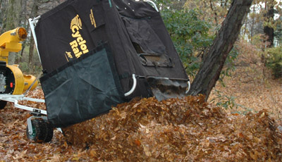 Collected leaves