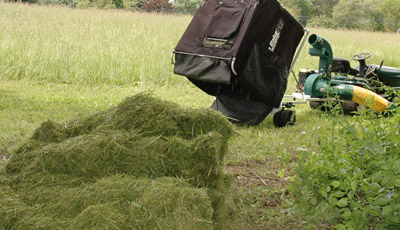 Collected Grass Clippings